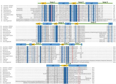 The Structural and Functional Basis for Recurring Sulfa Drug Resistance Mutations in Staphylococcus aureus Dihydropteroate Synthase